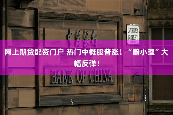 网上期货配资门户 热门中概股普涨！“蔚小理”大幅反弹！