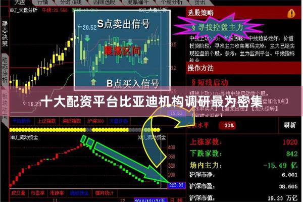 十大配资平台比亚迪机构调研最为密集