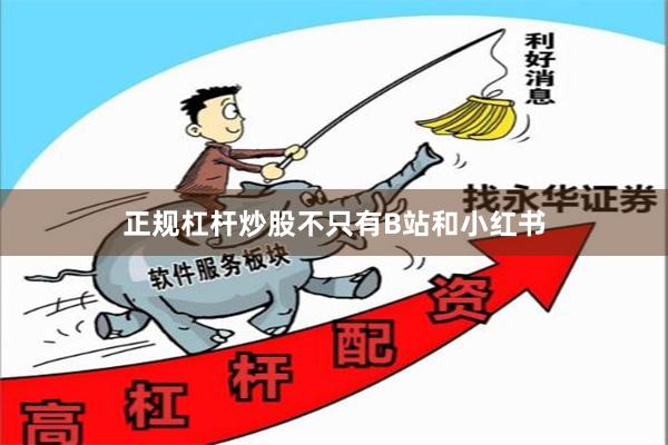 正规杠杆炒股　　不只有B站和小红书